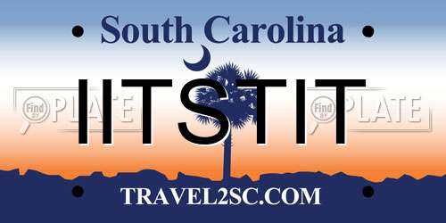 IITSTIT South Carolina License Plate