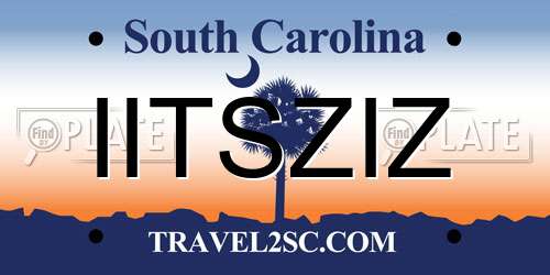 IITSZIZ South Carolina License Plate