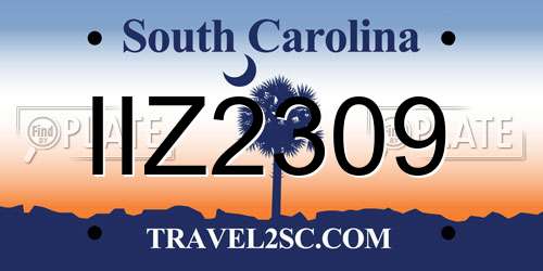 IIZ2309 South Carolina License Plate