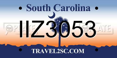 IIZ3053 South Carolina License Plate