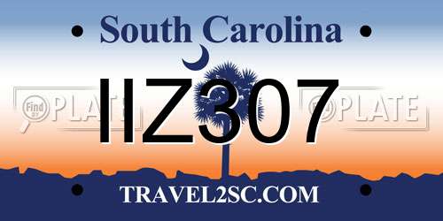 IIZ307 South Carolina License Plate