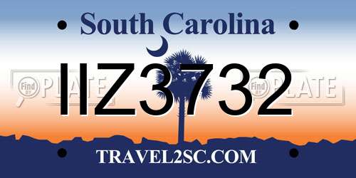 IIZ3732 South Carolina License Plate