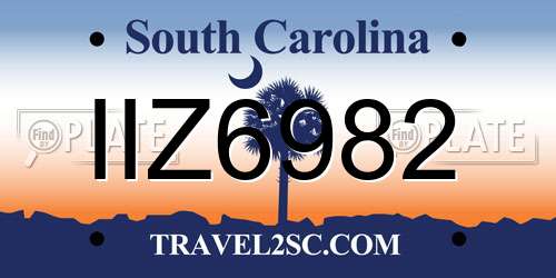 IIZ6982 South Carolina License Plate