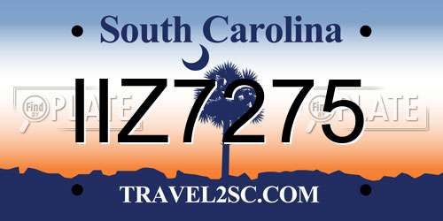 IIZ7275 South Carolina License Plate