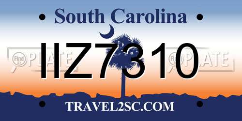IIZ7310 South Carolina License Plate