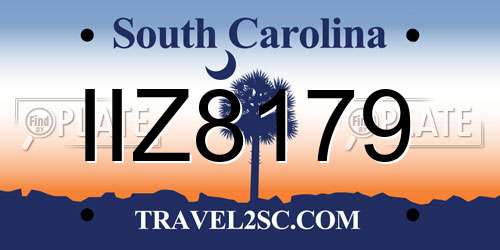 IIZ8179 South Carolina License Plate