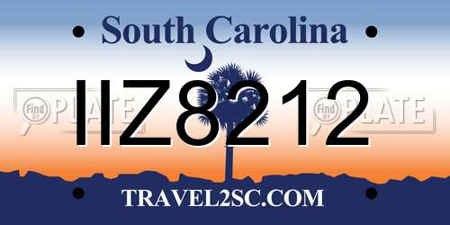 IIZ8212 South Carolina License Plate