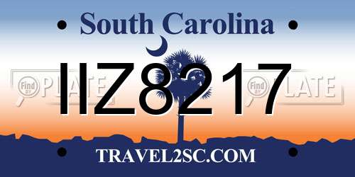 IIZ8217 South Carolina License Plate