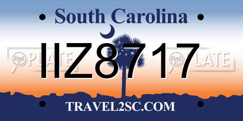 IIZ8717 South Carolina License Plate