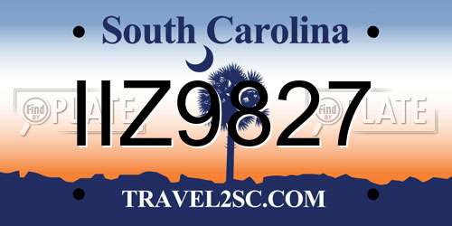 IIZ9827 South Carolina License Plate