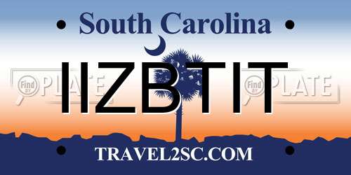 IIZBTIT South Carolina License Plate