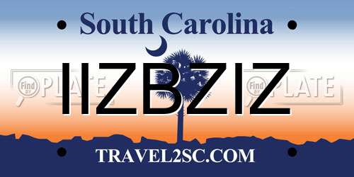 IIZBZIZ South Carolina License Plate