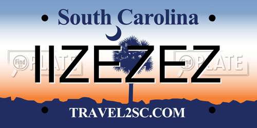 IIZEZEZ South Carolina License Plate