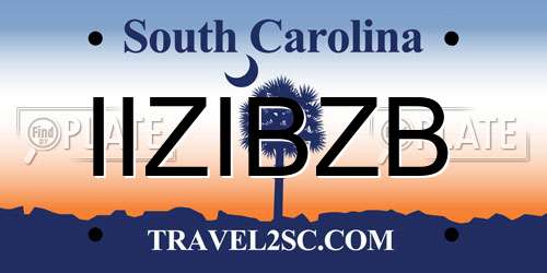 IIZIBZB South Carolina License Plate