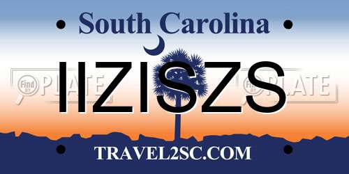 IIZISZS South Carolina License Plate
