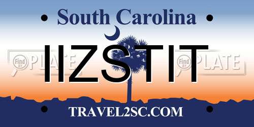 IIZSTIT South Carolina License Plate