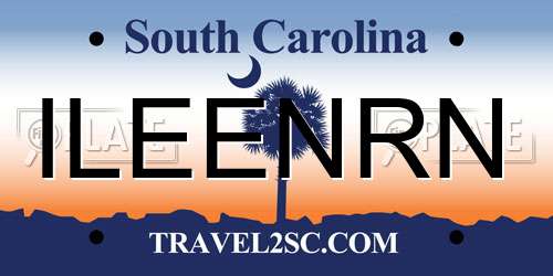 ILEENRN South Carolina License Plate