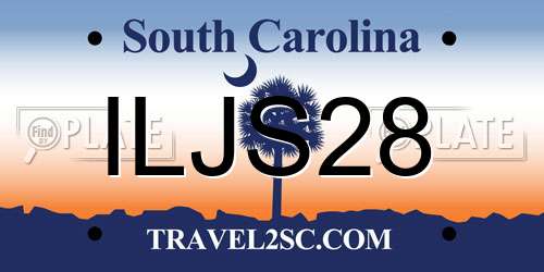ILJS28 South Carolina License Plate
