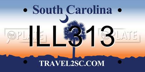 ILL313 South Carolina License Plate