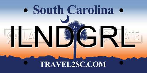 ILNDGRL South Carolina License Plate