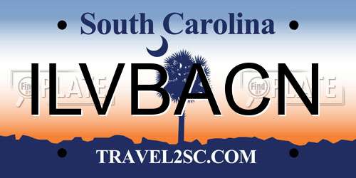 ILVBACN South Carolina License Plate