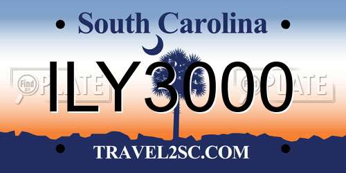 ILY3000 South Carolina License Plate