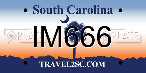 IM666 South Carolina License Plate