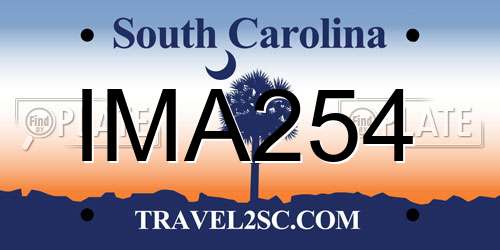 IMA254 South Carolina License Plate