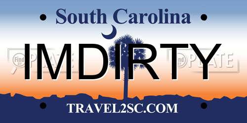 IMDIRTY South Carolina License Plate