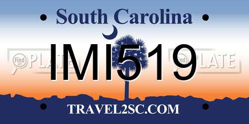 IMI519 South Carolina License Plate