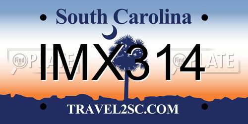 IMX314 South Carolina License Plate