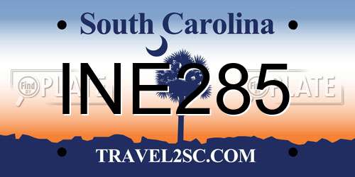 INE285 South Carolina License Plate