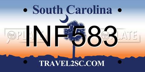 INF583 South Carolina License Plate