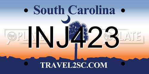 INJ423 South Carolina License Plate