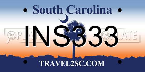 INS333 South Carolina License Plate