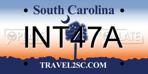 INT47A South Carolina License Plate