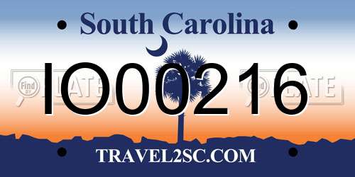 IO00216 South Carolina License Plate