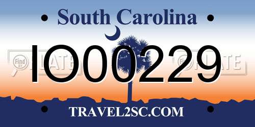 IO00229 South Carolina License Plate