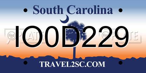 IO0D229 South Carolina License Plate