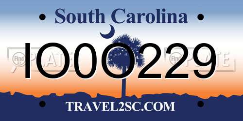 IO0O229 South Carolina License Plate