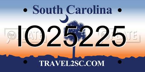 IO25225 South Carolina License Plate