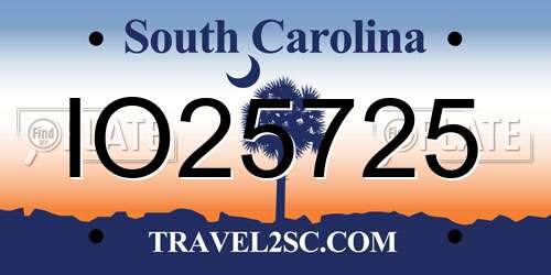 IO25725 South Carolina License Plate