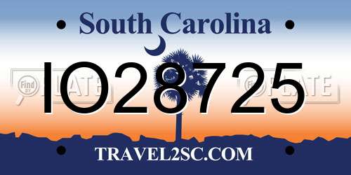 IO28725 South Carolina License Plate