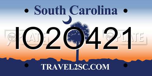 IO2O421 South Carolina License Plate