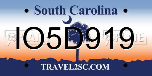 IO5D919 South Carolina License Plate