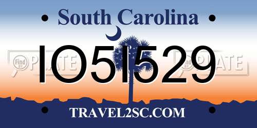 IO5I529 South Carolina License Plate
