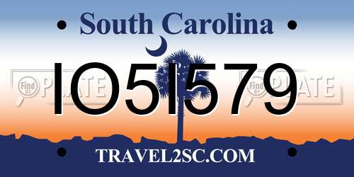 IO5I579 South Carolina License Plate