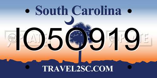 IO5O919 South Carolina License Plate