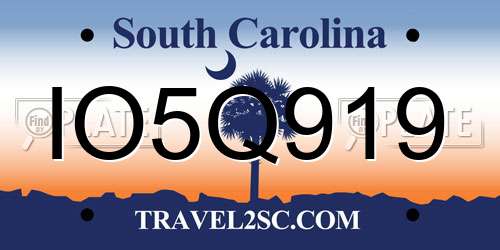 IO5Q919 South Carolina License Plate