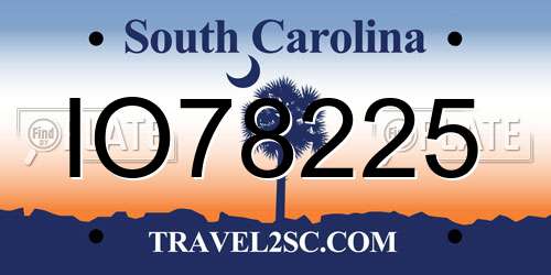 IO78225 South Carolina License Plate